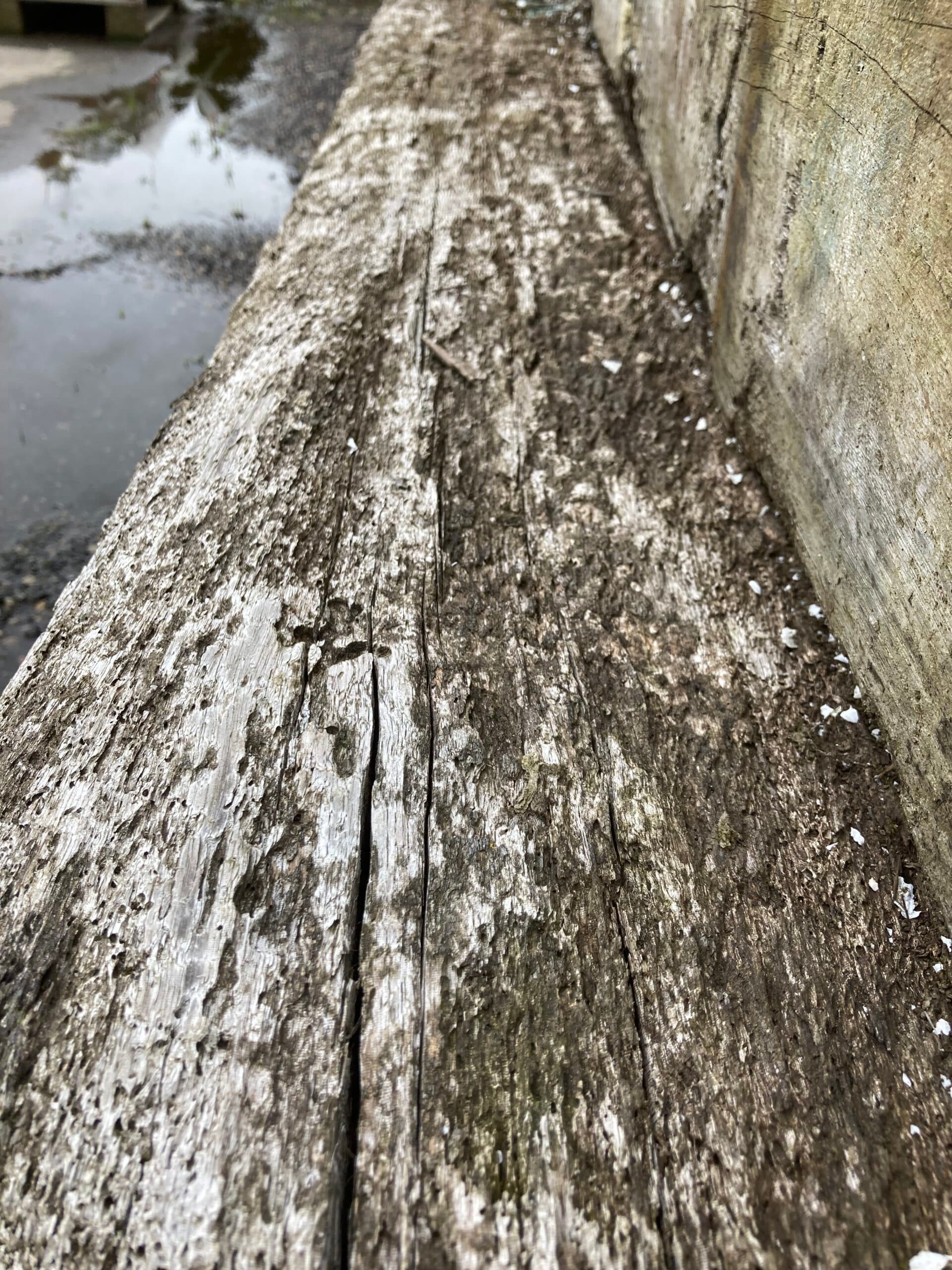 Azobe bolværkstømmer 280x300x5000mm. - 1